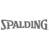 logo ballon basket spalding