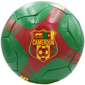 Ballon de Football Airness Cameroun Gold Cup